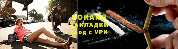хмурый Алексин