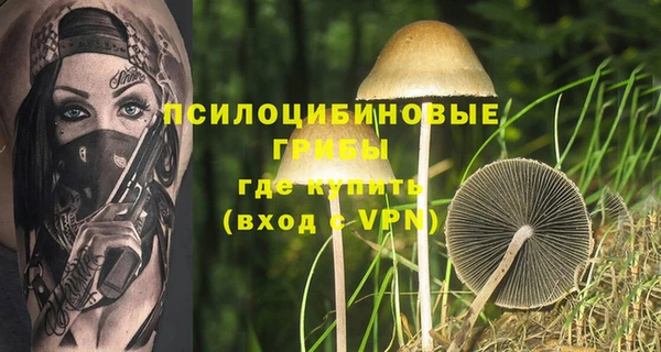 хмурый Алексеевка