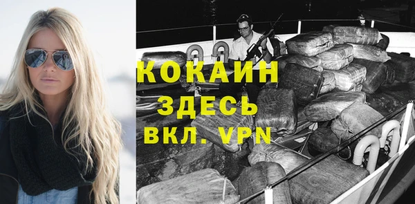 хмурый Алексин