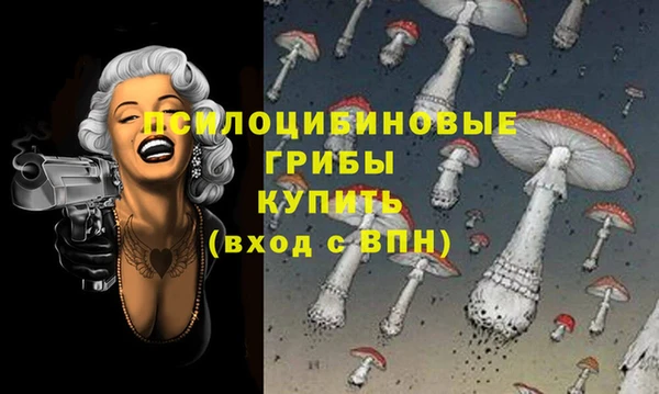 хмурый Алексин