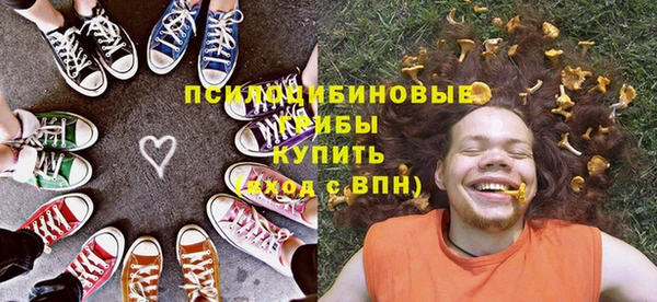 хмурый Алексеевка