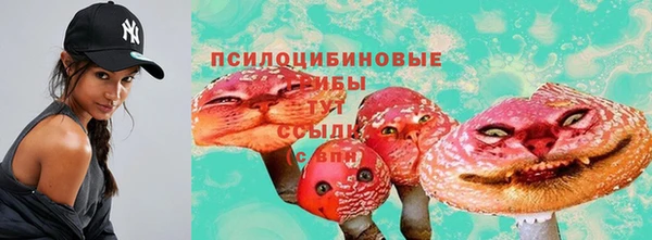 хмурый Алексин