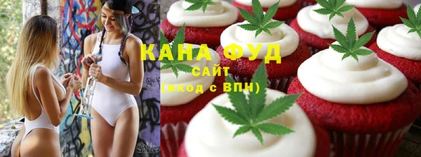 хмурый Алексин