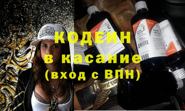хмурый Алексин