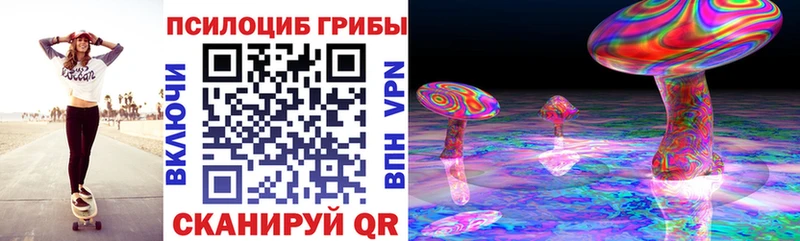 Псилоцибиновые грибы Psilocybe  Перевоз 
